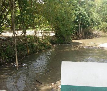 Cleaning of the Caura River in the Valley