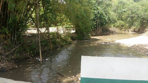 Cleaning of the Caura River in the Valley