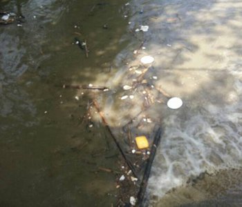 Cleaning of the Caura River in the Valley