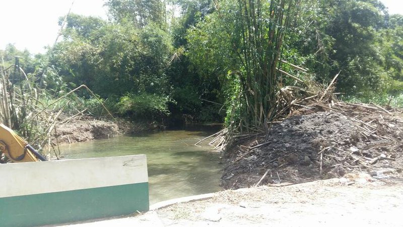 Cleaning of the Caura River in the Valley