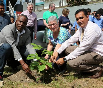 Tree Planting at Tunapuna Presbyterian Primary School to commemorate 150 years