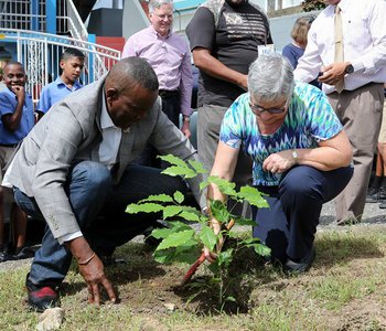 Tree Planting at Tunapuna Presbyterian Primary School to commemorate 150 years